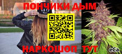 мдпв Рыбинск