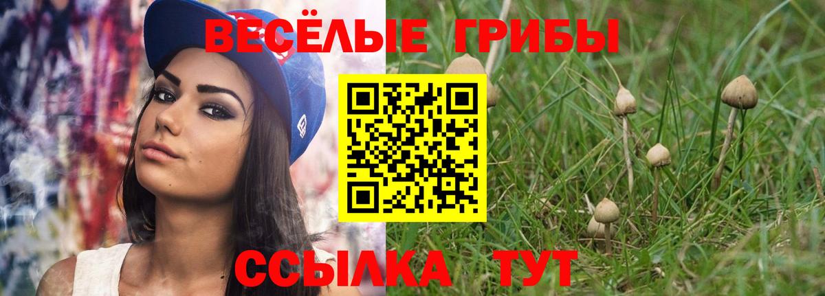 Псилоцибиновые грибы мухоморы  Вход с VPN  Новозыбков 